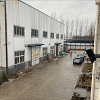 泰安建益活塞有限公司